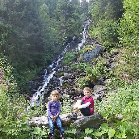 Le Cerf De Belledonne