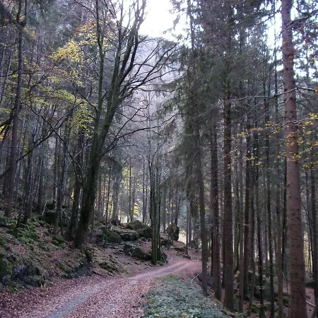 Le Cerf De Belledonne * Sainte-Agnes (Isere)